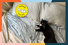 A cat laying down on cooling sheets we recommend