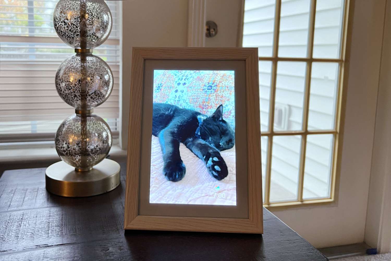 The Aeezo WiFi Digital Picture Frame in portrait mode with a picture of a cat displayed.