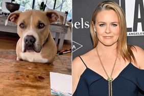 Alicia Silverstone Shares Adorable Video of Her Dog Sitting at Dinner Table ‘Waiting for His Turn’