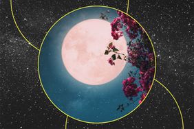 Horoscope Spring Moon