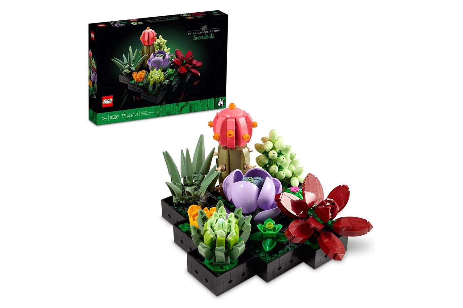 Amazon Lego Icons Succulents