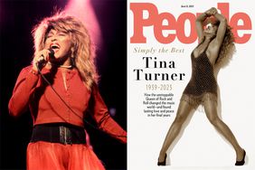 tina turner people cover