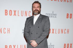 David Harbour attends the BoxLunch Holiday Gala