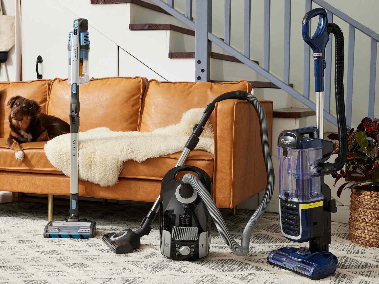 Several vacuums displayed in a living room