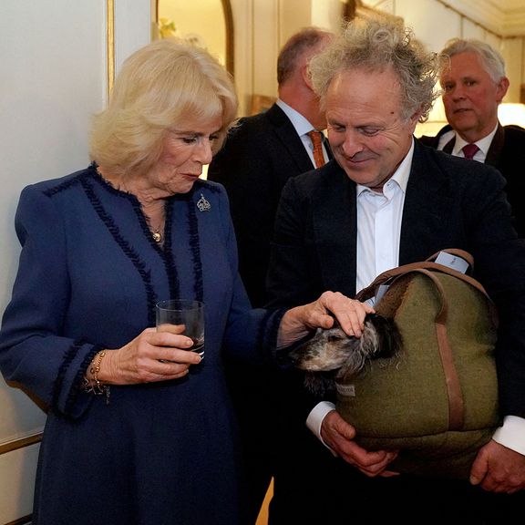 Britain's Camilla, Queen Consort (L) meets author Charlie Mackesy and his dog Barney as she hosts a reception at Clarence House in London on February 23, 2023, for authors, members of the literary community and representatives of literacy charities, to celebrate the second anniversary of The Reading Room.