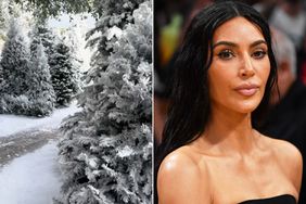 Kim Kardashian Receives Backlash for âWinter Wonderlandâ Home Transformation: âSo Wastefulâ