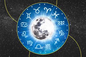 Moon signs explainer