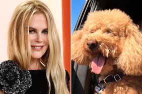 Nicole Kidman attends the 95th Annual Academy Awards; Nicole Kidman Posts Adorable Photos of Pet Poodle 'Driving' Her Car