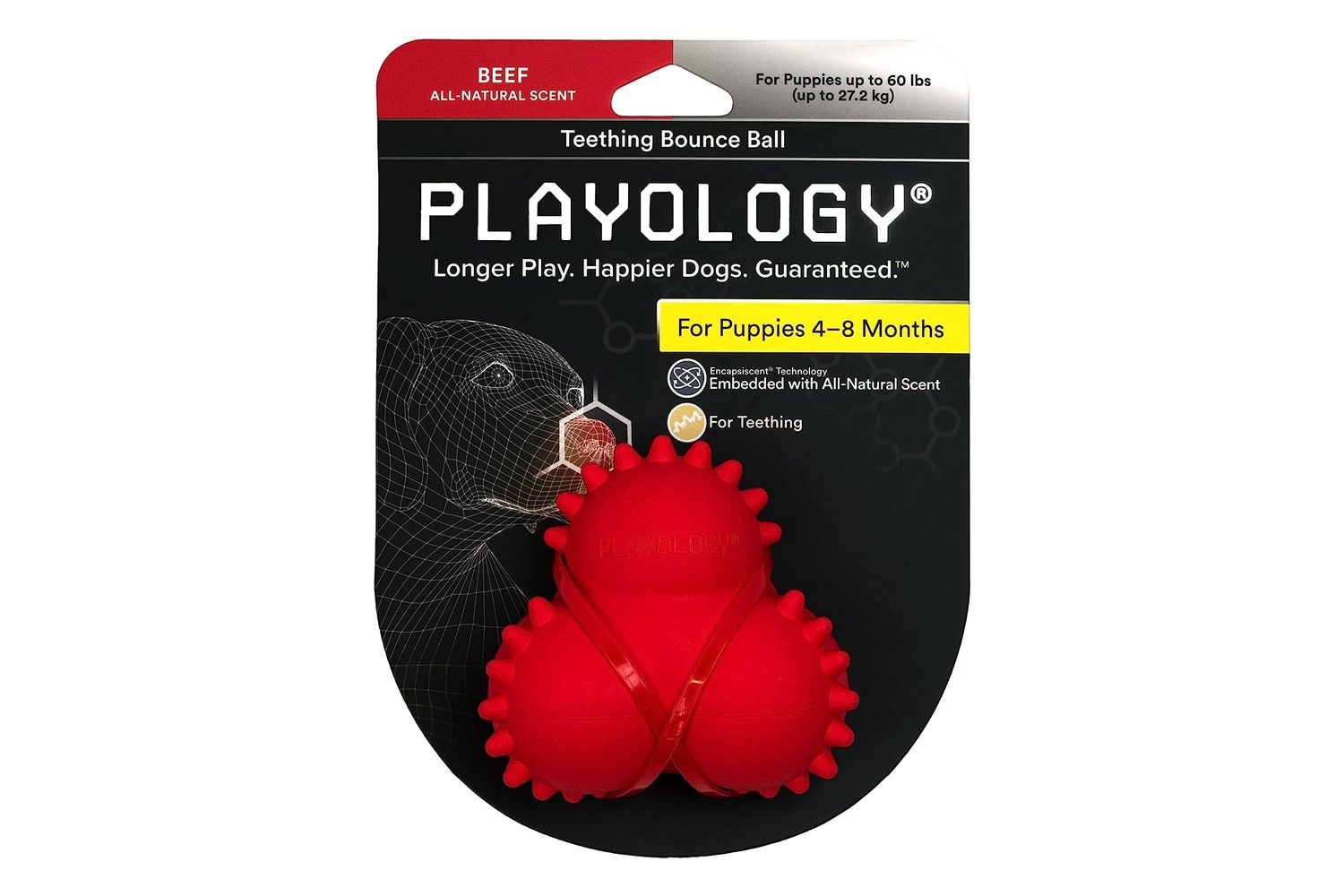 Amazon Playology Puppy Bounce Ball Dog Toys
