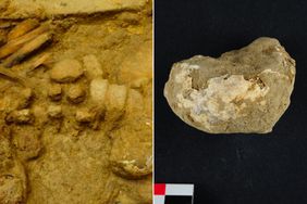Medieval Child Was Buried with a Hard-Boiled Egg