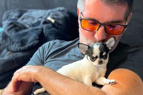 Simon Cowell Cuddles Adorable Black and White Puppy in Cute Photo