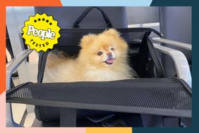 dog in pet carrier