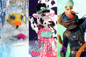 The Masked Singer, Rubber Ducky, Cow and Diver