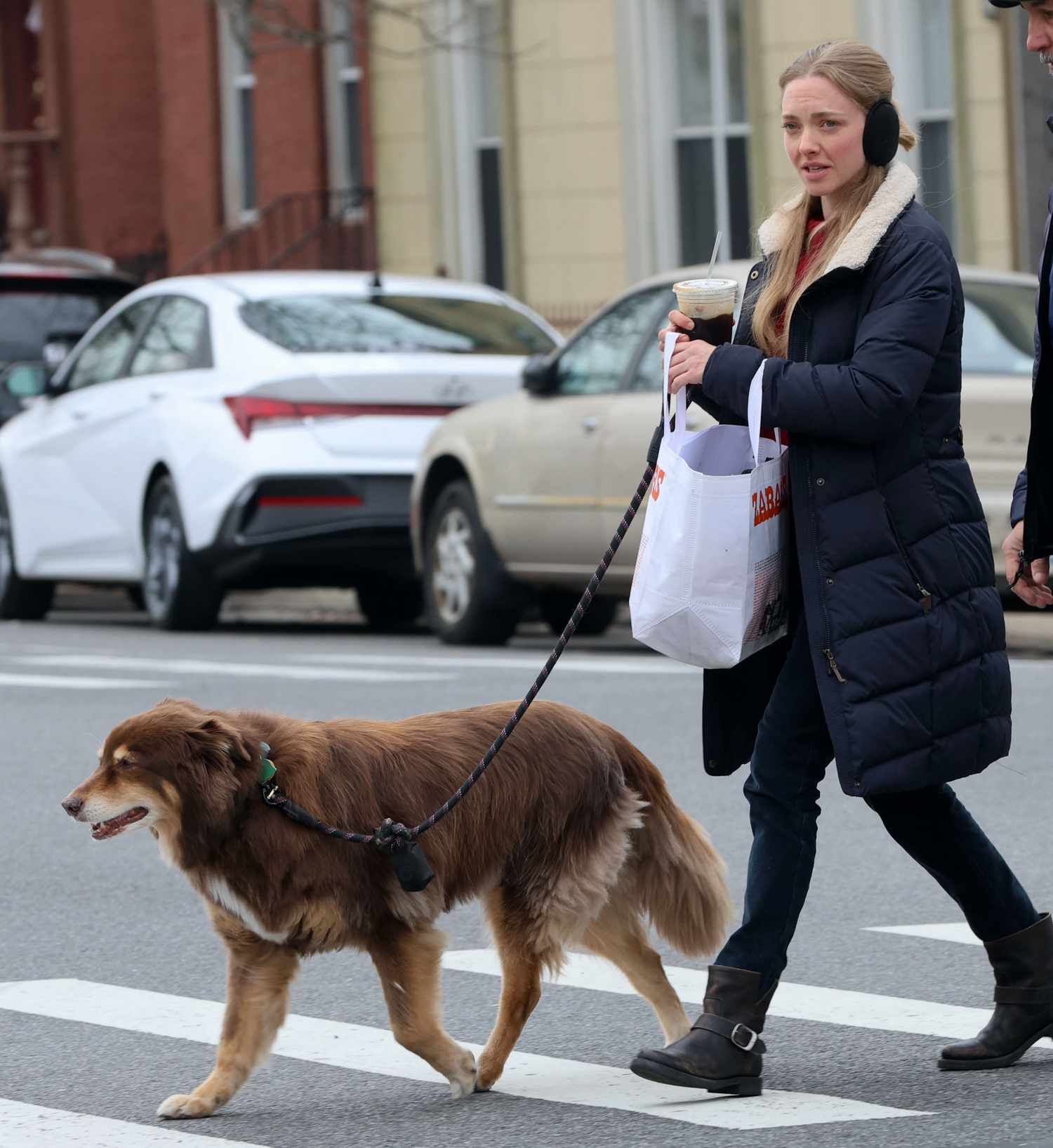 Amanda Seyfried dog finn new york 03 27 24