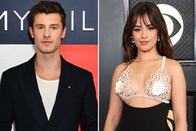 Shawn Mendes and Camila Cabello Were 'Friendly' for 'Months' Before Coachella Kiss: Source