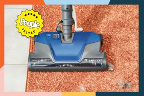 A top pet hair vacuum cleaning a throw rug