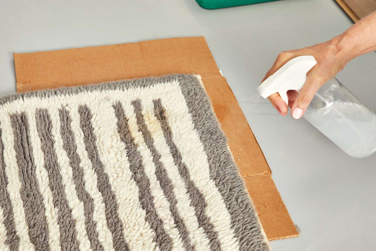 A person spraying cleaning solution on the AllModern Machine Washable Hand-Woven Wool Ivory/Charcoal Area Rug