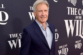 Harrison Ford attends the Premiere of 20th Century Studios' "The Call of the Wild" at El Capitan Theatre on February 13, 2020 in Los Angeles, California