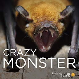 图标图片“Crazy Monster”