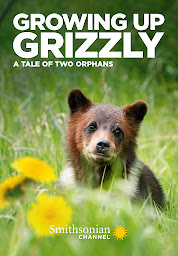 Slika ikone Growing Up Grizzly