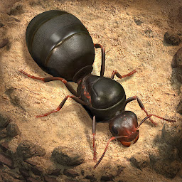 The Ants: Underground Kingdom ilovasi rasmi