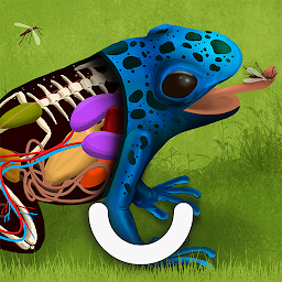 Icon image The Animals: Animal Kids Games