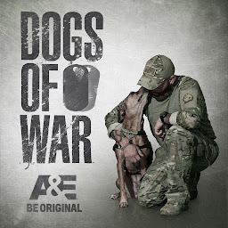 İkona şəkli Dogs of War