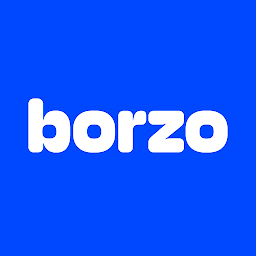 Icon image Borzo Delivery Partner Job