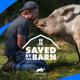 图标图片“Saved By the Barn”