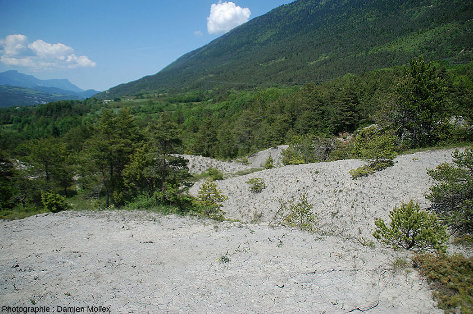 Affleurement d'argiles würmiennes à gypse au-dessus du lac de Monteynard (Isère)