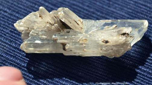 Détail de l'un des cristaux de gypse de la photo d'ensemble montrant la variété des formes cristallines et de leurs associations