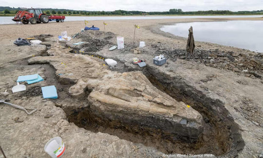 Dégagement et exhumation (en aout et septembre 2021) d'un ichtyosaure quasi-complet découvert au centre de l'Angleterre en février 2021