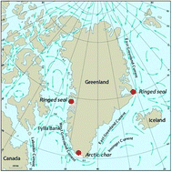 Graphical abstract: Influence of climate and biological variables on temporal trends of persistent organic pollutants in Arctic char and ringed seals from Greenland