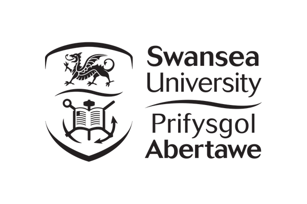 Academia 3 Swansea University - About