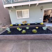 Finished the planter box project, including mulching and planting low-maintenance plants.