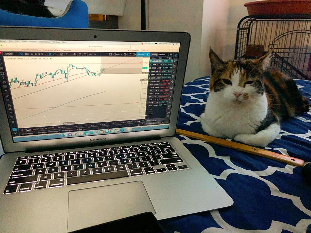 TradingView Chart on Instagram @chatchingpipss