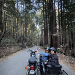 Things To Do In Santa Cruz | Sidecar Tours, Inc.