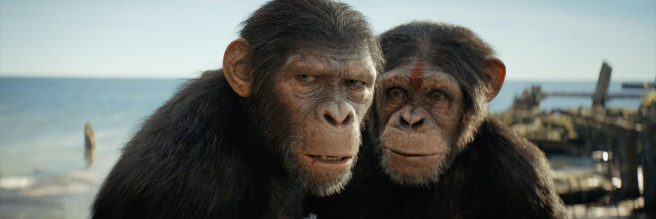 Το "Kingdom of the Planet of the Apes" αποκαλύπτει το μυστικό της επιτυχίας για το franchise