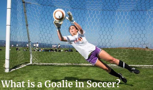 What is a Goalie in Soccer?
