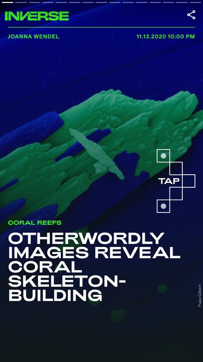Green and blue illustration of the topography of a coral reef 