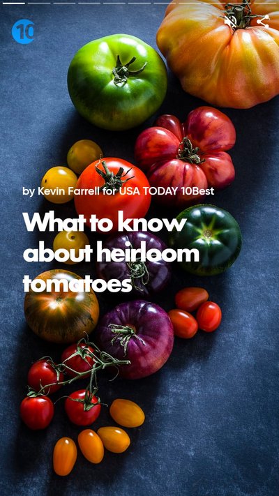 Heirloom tomatoes placed on a dark countertop with text "What to know about heirloom tomatoes"