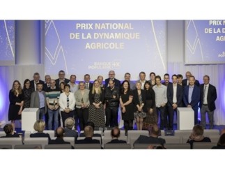31e édition du Prix National de la Dynamique Agricole :  Banque Populaire distingue des agriculteurs pour leur savoir-faire et leur créativité