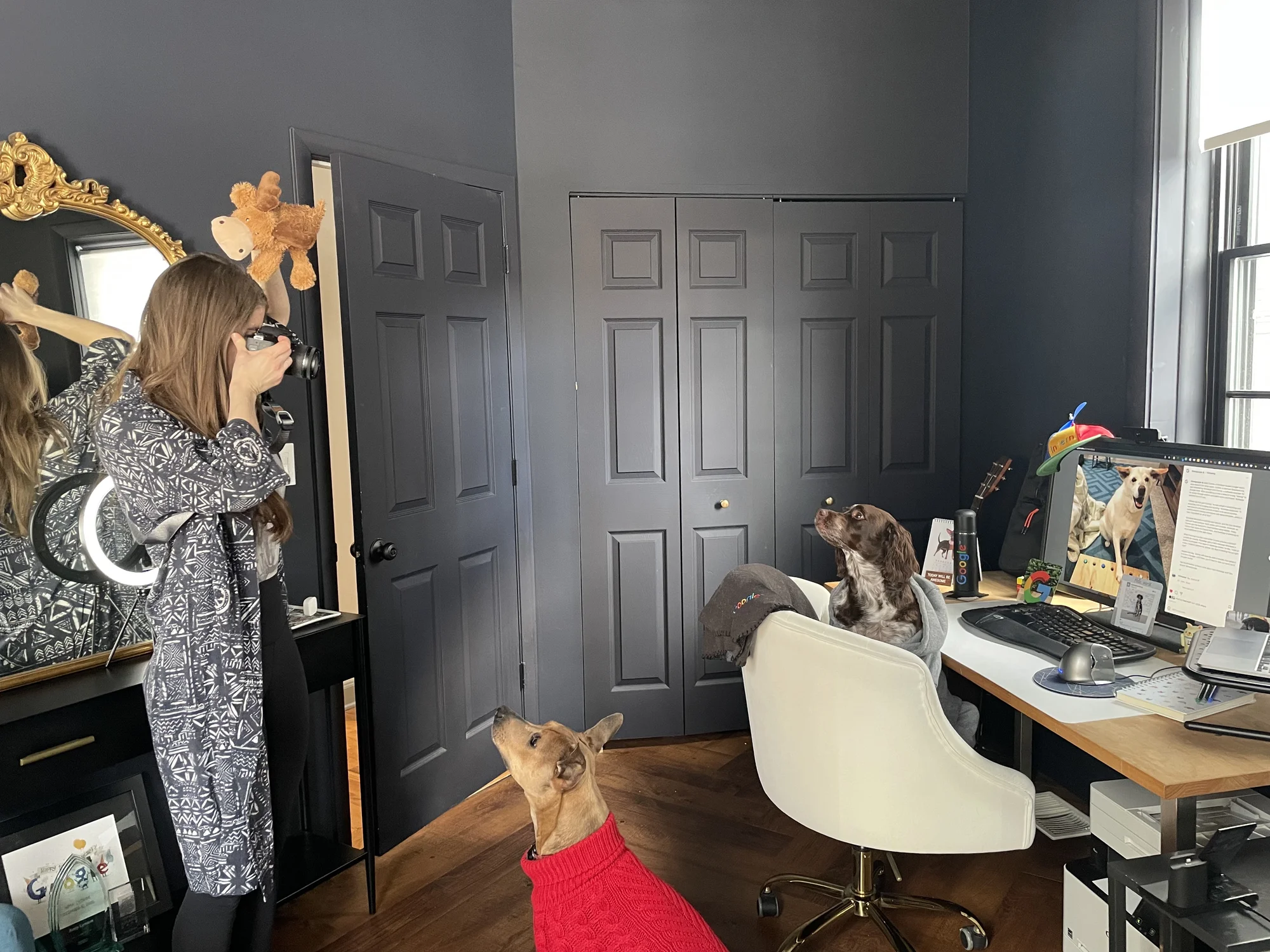Amy holds a stuffed toy and a digital camera, taking a photo of a brown dog in a red turtleneck sweater. Behind them is a white chair and wooden office desk with a monitor, mouse and keyboard.