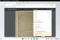 On Chrome browser, you can see a page from The Wonderful Wizard of Oz and see a menu toolbar open that says with the following words selected: “Extract text from PDF.”