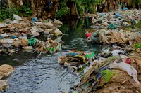 Photograph of the Nairobi river, Kibera, Kenya, polluted by rubbish and detritus including plastic bottles and bags.