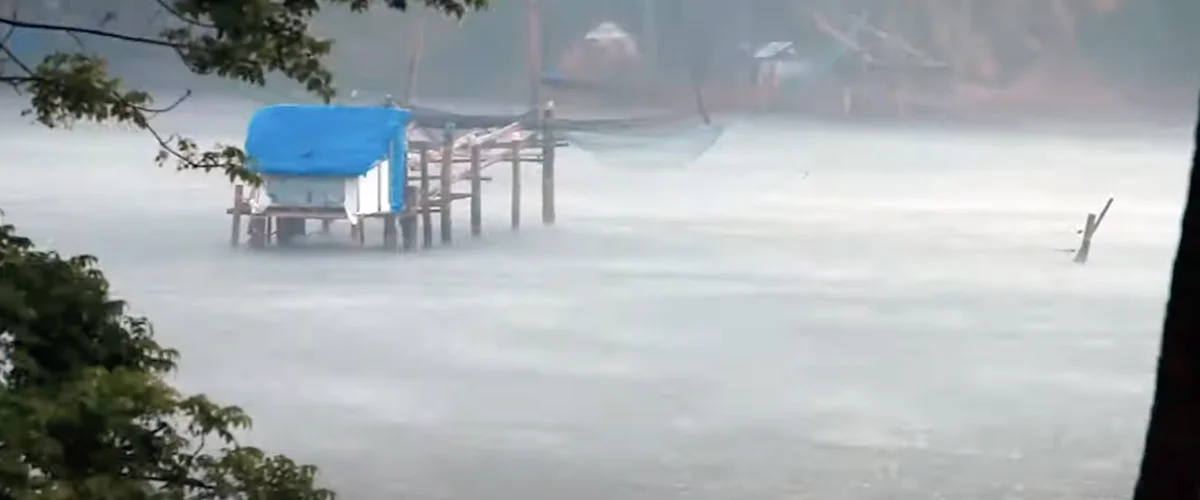 A wooden dock sits in a flooded area.
