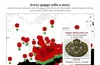 This visualization by DC Thomson shows a static image of a graphic about poppy flowers and where they are located. It helps users find the poppies that are closest to them.