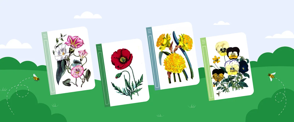 Illustration of four books set against a green lawn with buzzing bees and a bright blue sky. Each of the books contains an illustration of flowers.