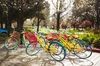 A photo of seven GBikes parked in a group on a Google campus.
