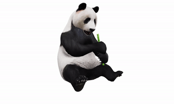 3D model of a panda
